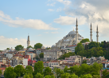 Türkiye IP fee updates and Harare Protocol developments